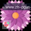 PG模拟器 logo